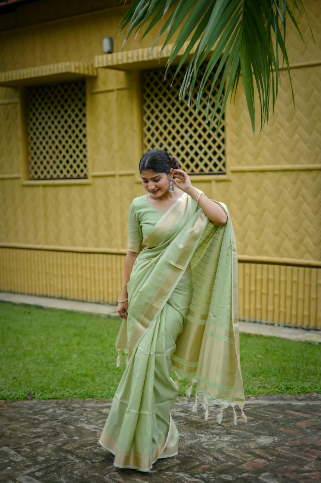 Premium banarasi raw sarees