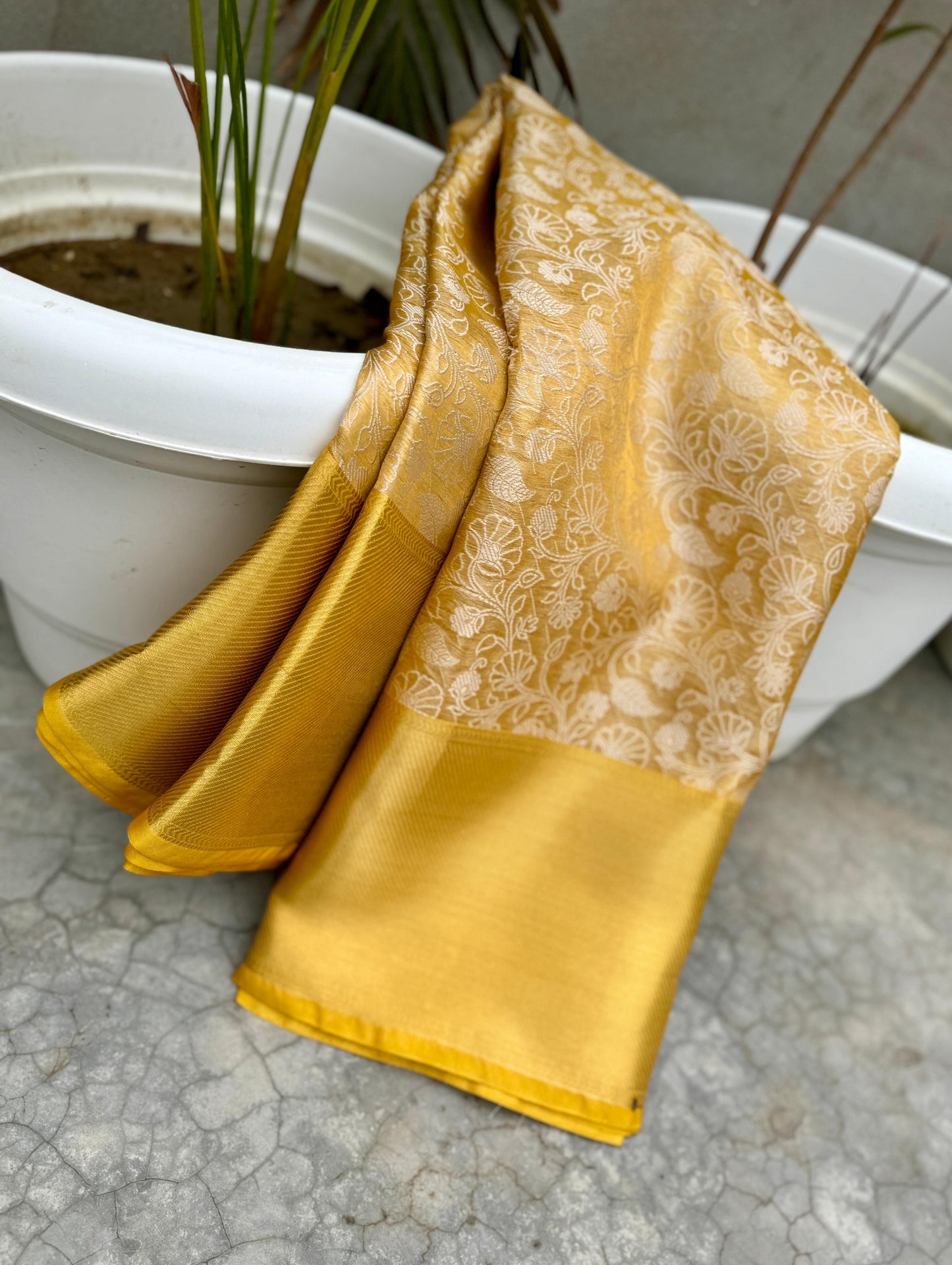 Gold Banarasi Tissue silk sarees