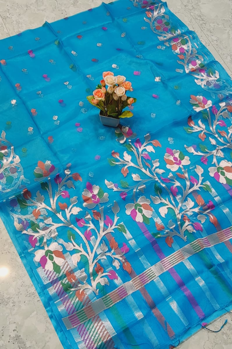 Sky blue pure Muslin organza silk sarees