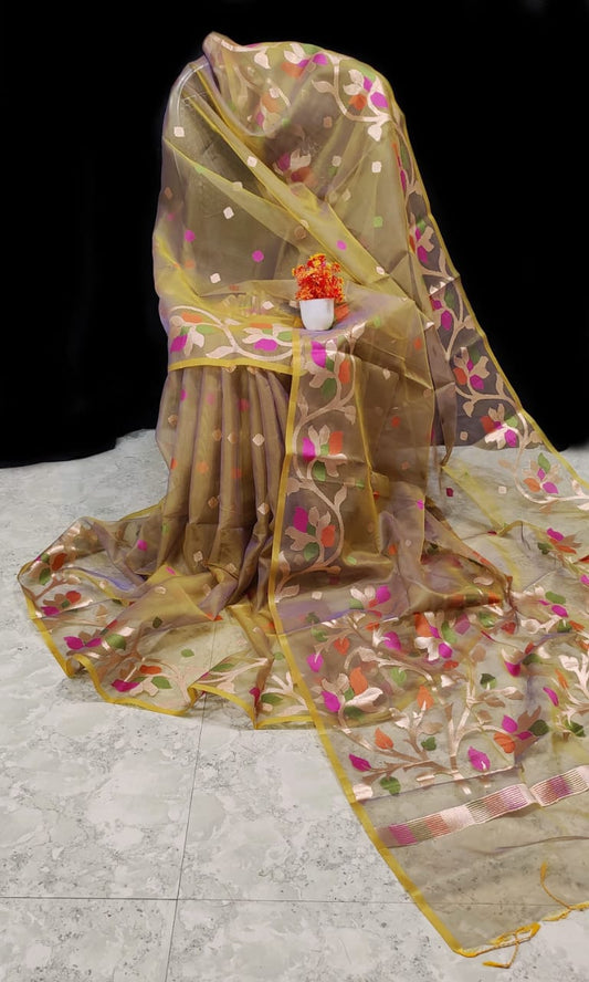 Beige pure Muslin organza silk sarees