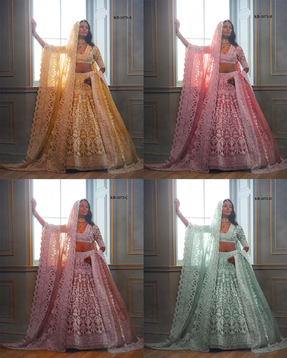 Heavy net embroidery bridal lehenga