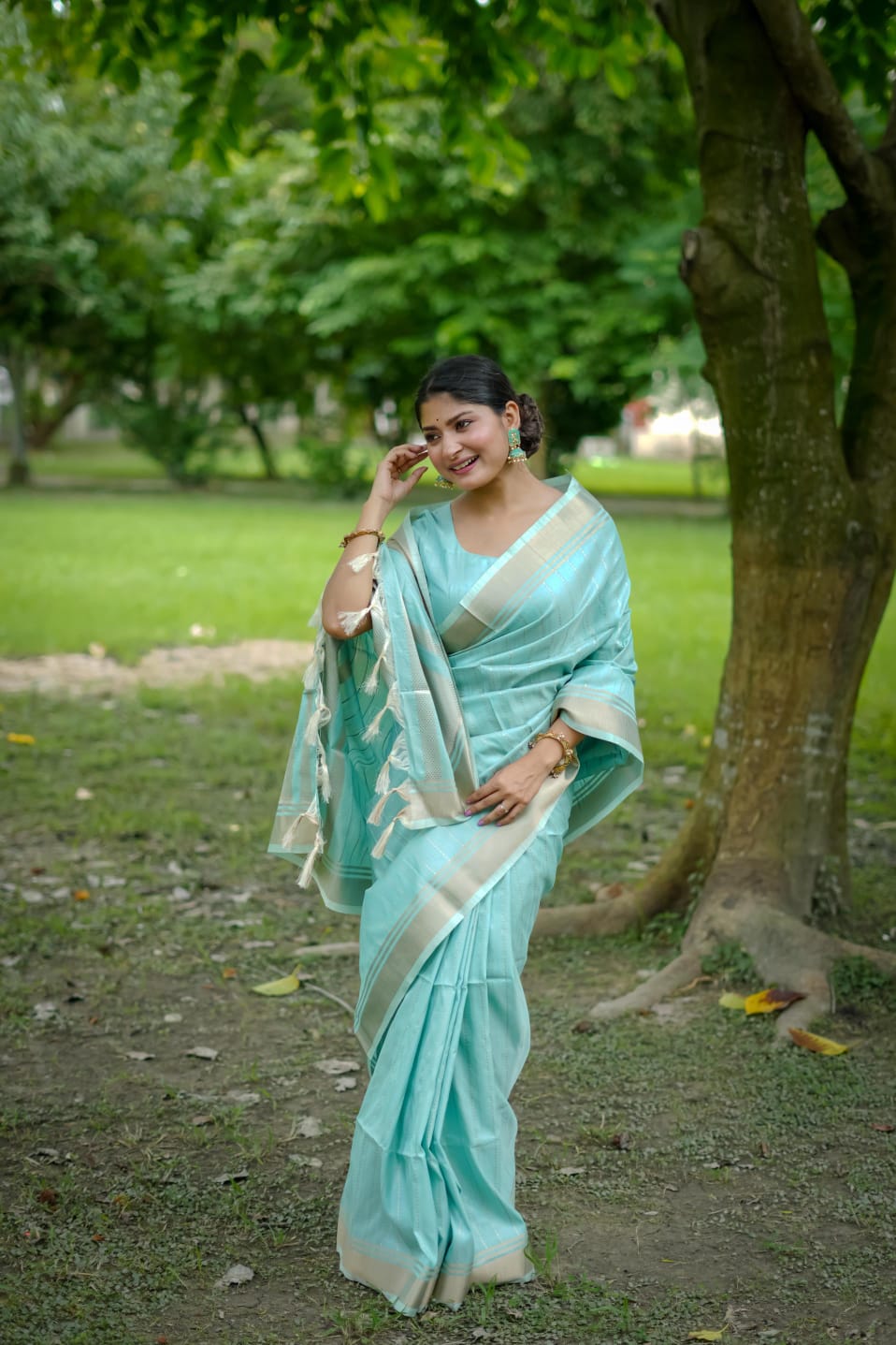 Premium banarasi raw sarees