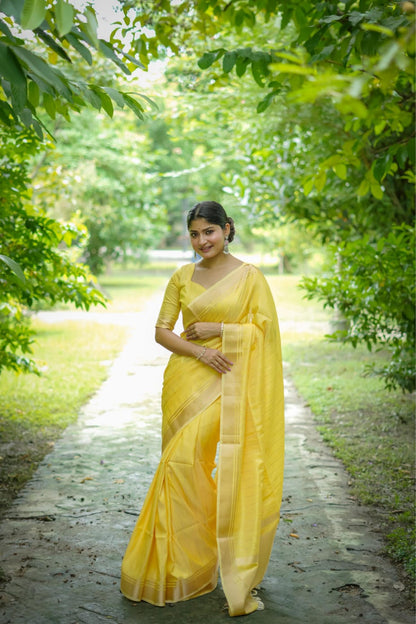 Premium banarasi raw sarees