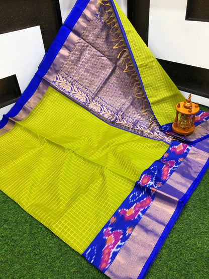 Apple green chanderi kuppadam pochampally border sarees