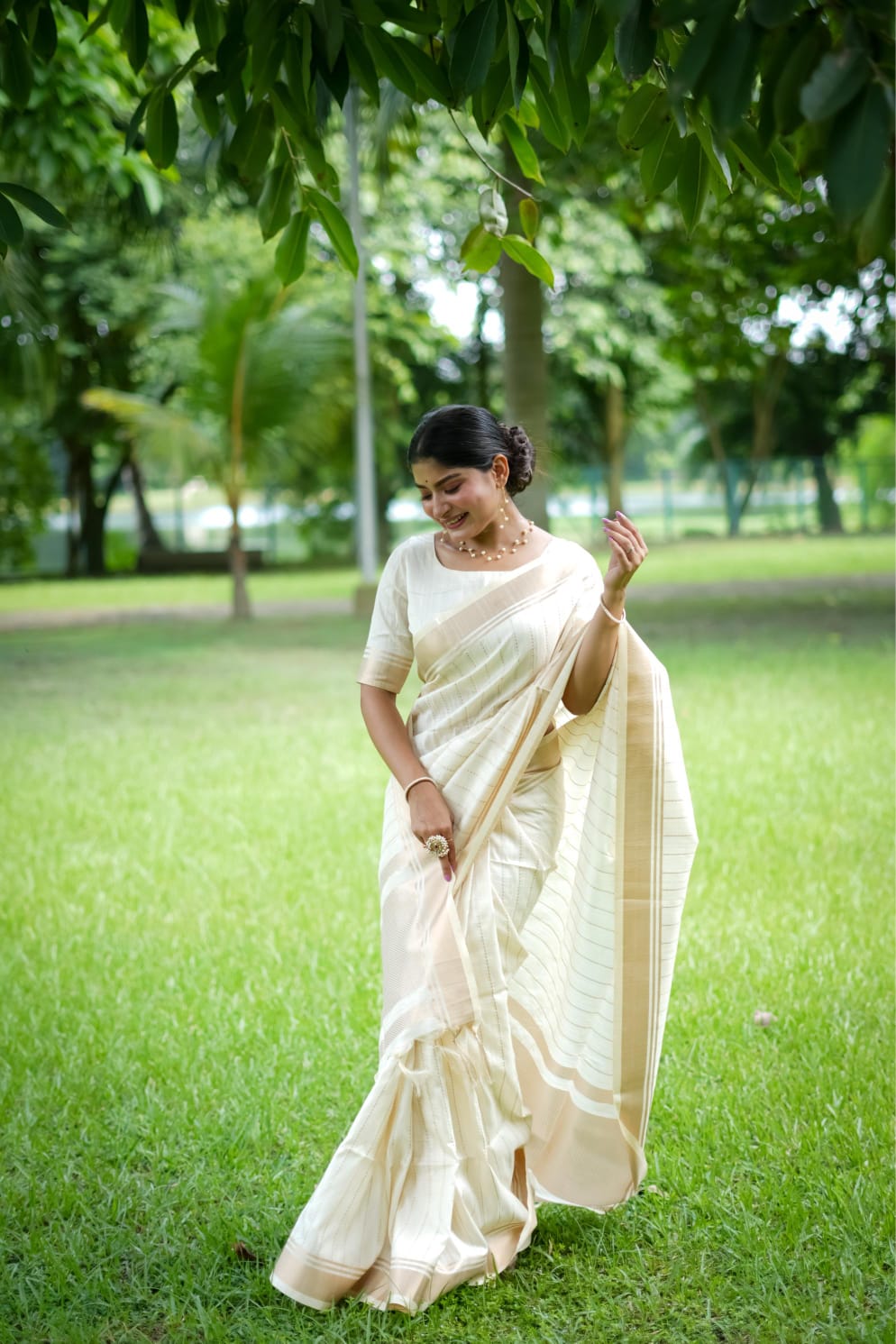 Premium banarasi raw sarees