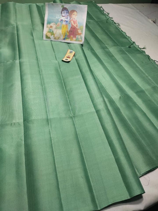 Pastel green Pure kanchipuram plain silk sarees